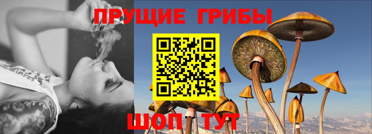 Псилоцибиновые грибы прущие грибы  Вход с VPN  Набережные Челны 